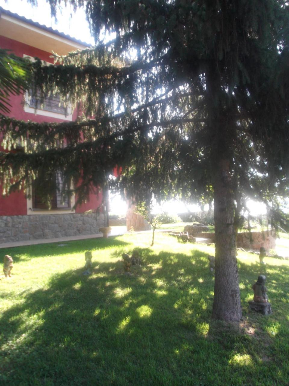 Agriturismo Casal Grande Canepina Exterior photo
